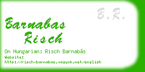 barnabas risch business card